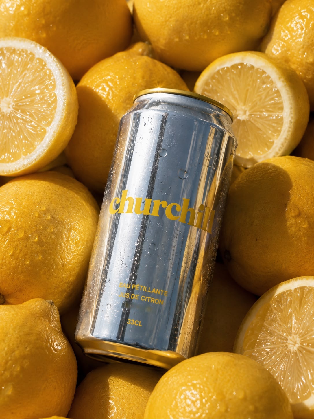 Canette churchill couchée sur des citrons