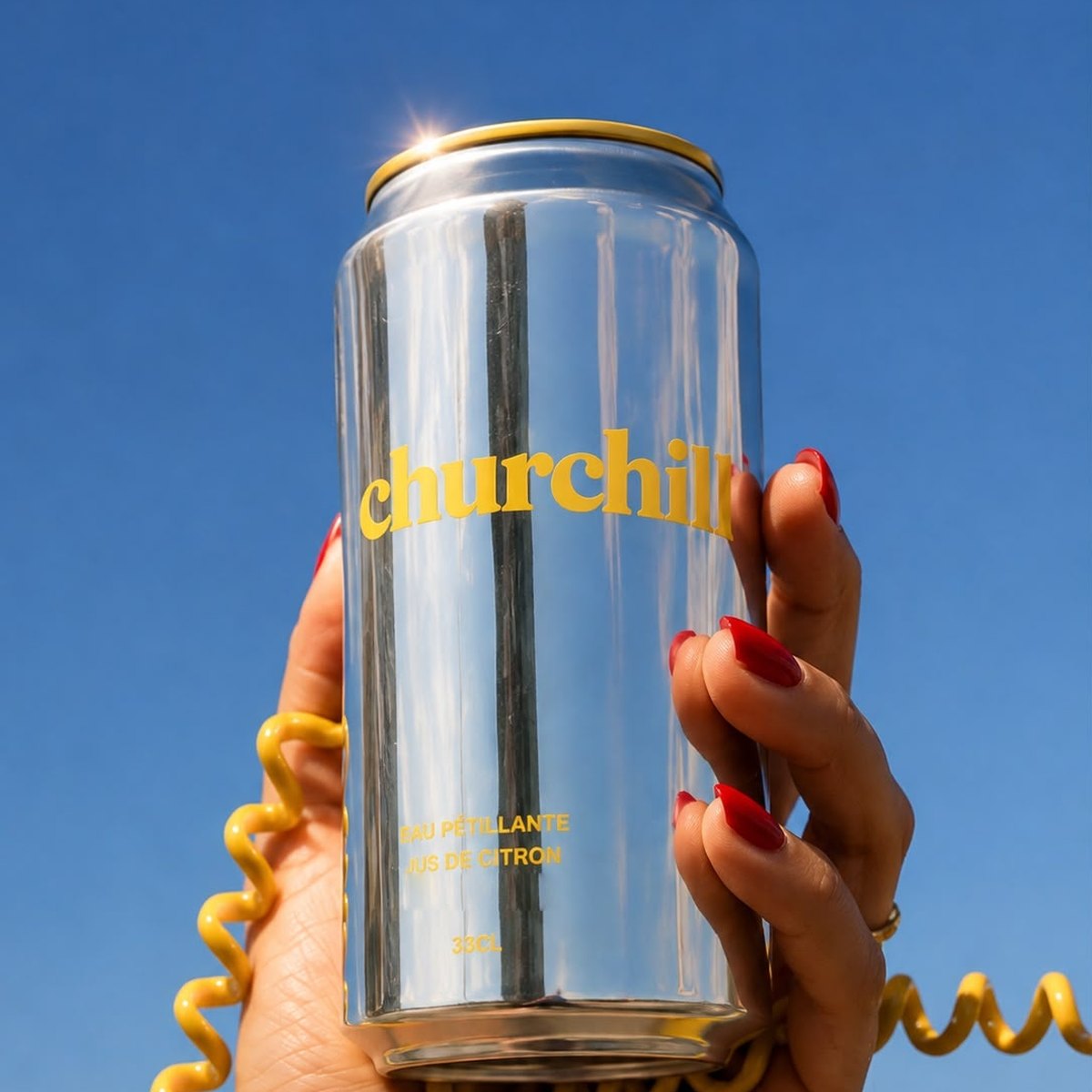 Canette churchill tenue face au ciel